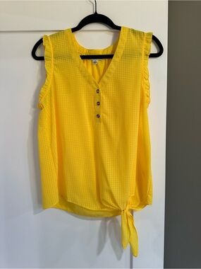 Ophelia Roe Sleeveless Tie-Hem Women's Top